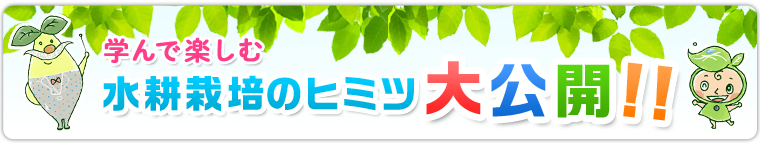 学んで楽しむ水耕栽培のヒミツ大公開！！