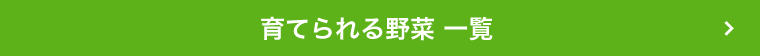 育てられる野菜一覧