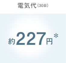 電気代（30日）