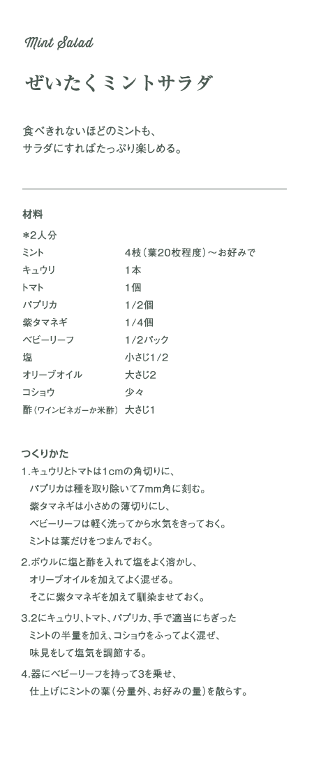 ぜいたいくミントサラダ：食べきれないほどのミントも、サラダにすればたっぷり楽しめる。