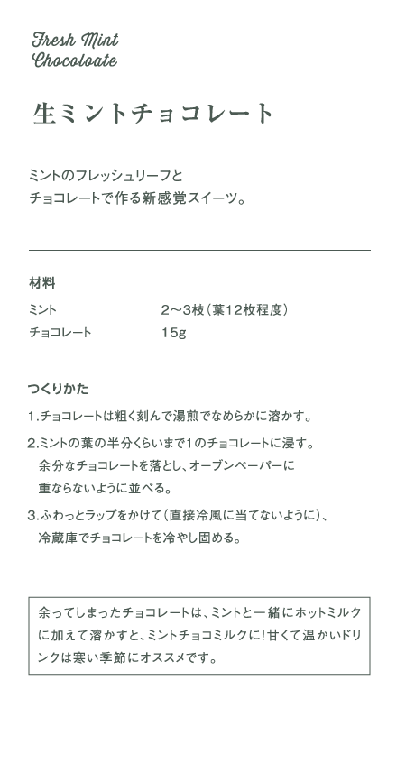 生ミントチョコレート：ミントのフレッシュリーフとチョコレートで作る新感覚スイーツ。