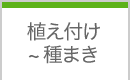 植え付け 〜 種まき