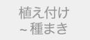 植え付け 〜 種まき