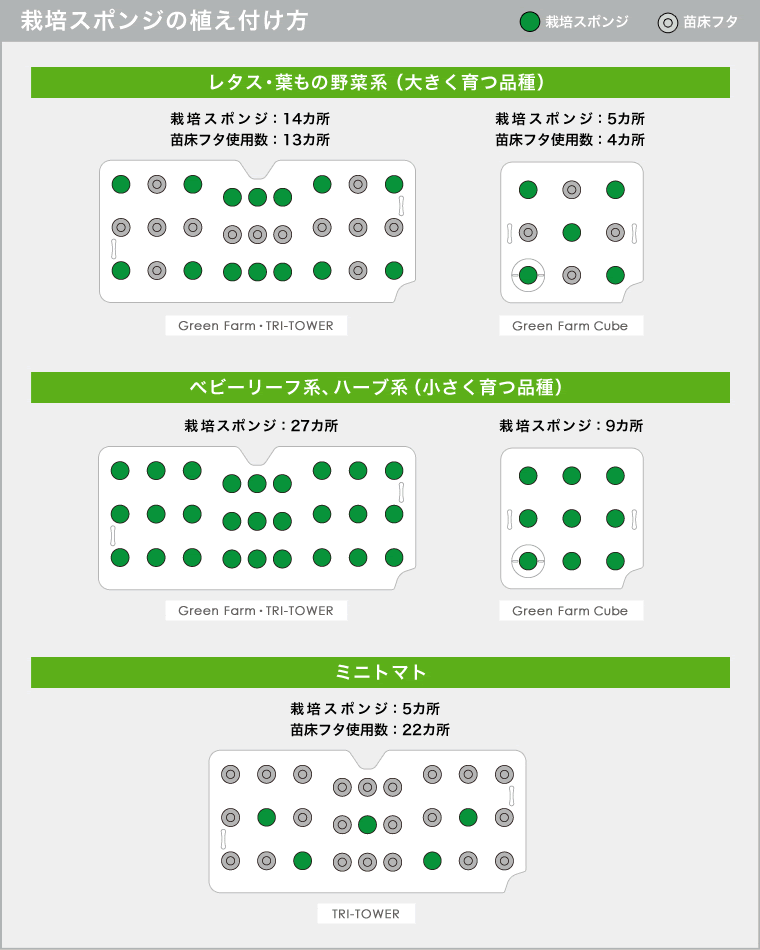 栽培スポンジの植え付け方