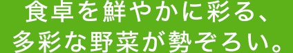 食卓を鮮やかに彩る、多彩な野菜が勢ぞろい。