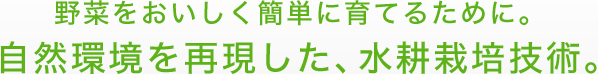 野菜をおいしく簡単に育てるために。自然環境を再現した、水耕栽培技術。