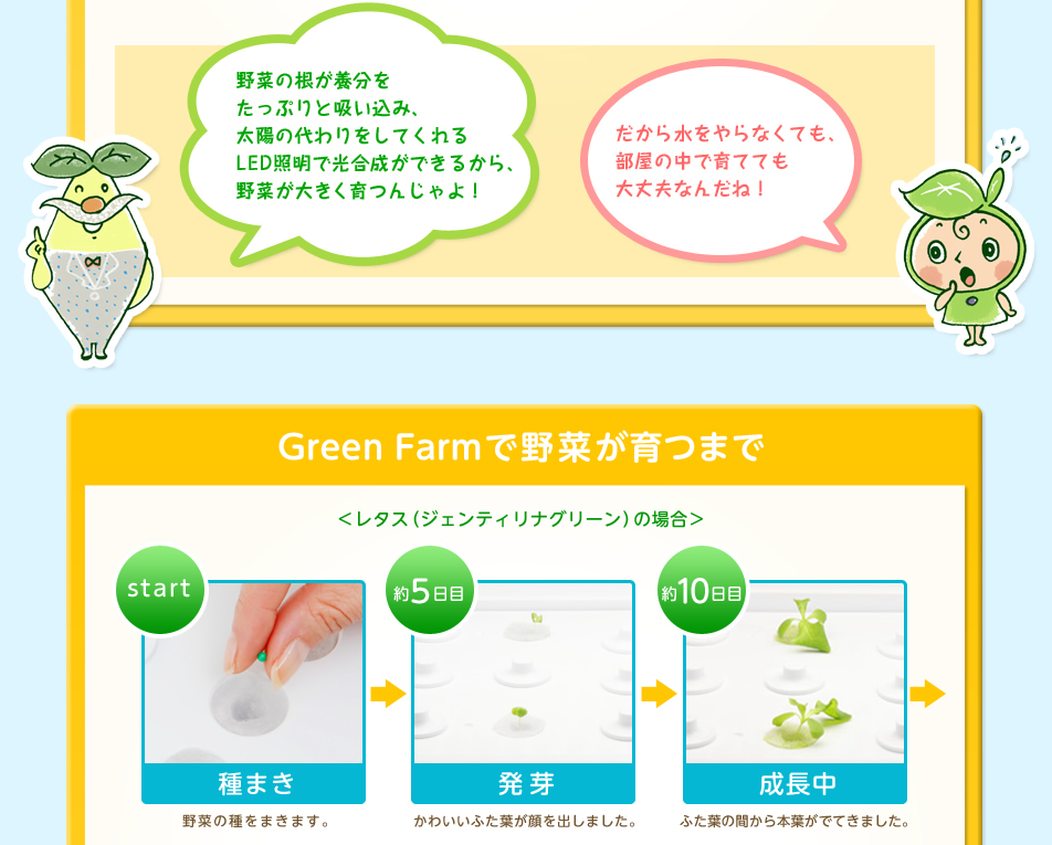 学んで楽しむ水耕栽培のヒミツ大公開！！ | 水耕栽培器「Green