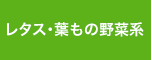 レタス・葉もの野菜系