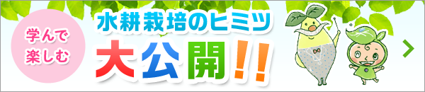 学んで楽しむ水耕栽培のヒミツ大公開！！