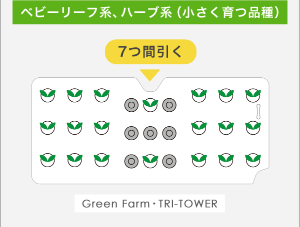 <空>間引き・移植後の状態