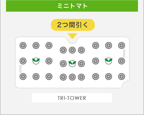 間引き・移植後の状態