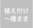 植え付け 〜 種まき