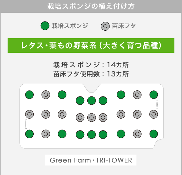 栽培スポンジの植え付け方