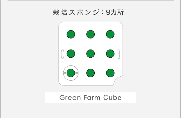 栽培スポンジの植え付け方