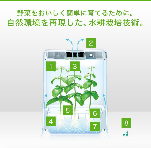 野菜をおいしく簡単に育てるために。自然環境を再現した、水耕栽培技術。