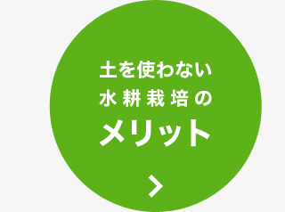 土を使わない水耕栽培のメリット