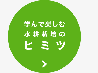 学んで楽しむ水耕栽培のヒミツ