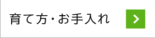 育て方・お手入れ