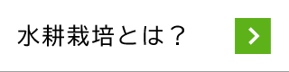 水耕栽培とは？