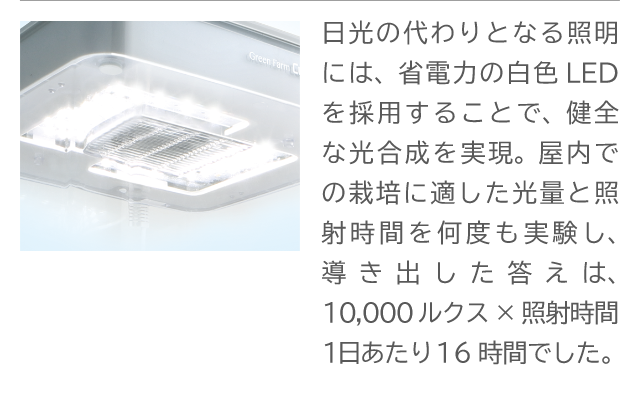 1.白色LED照明