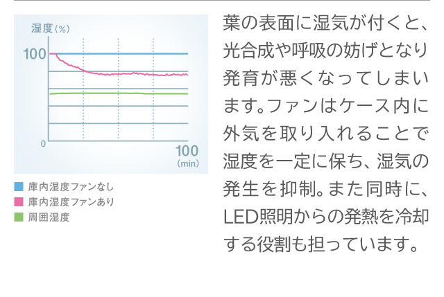 3.ファン