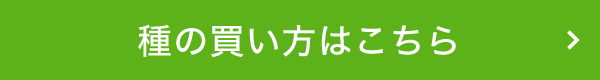 種の買い方はこちら