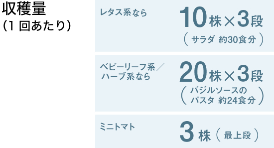 収穫量（1回あたり）