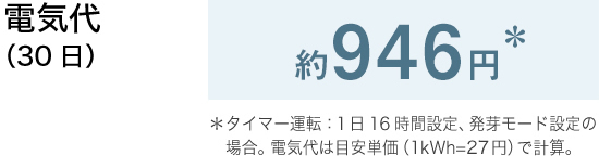 電気代（30日）