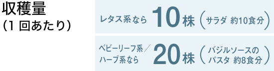 収穫量（1回あたり）