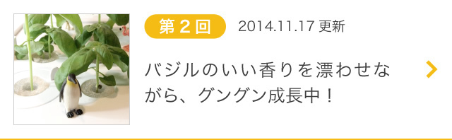 第2回 バジルのいい香りを漂わせながら、グングン成長中！