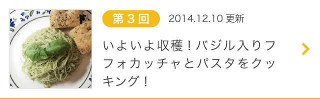 第3回 いよいよ収穫！バジル入りフフォカッチャとパスタをクッキング！