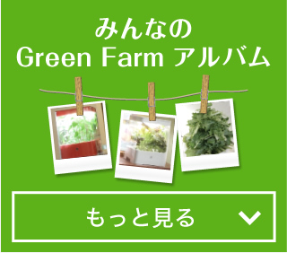 みんなのGreen Farm アルバム