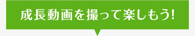 成長動画を撮って楽しもう！