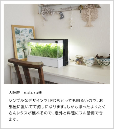 大阪府　natura様