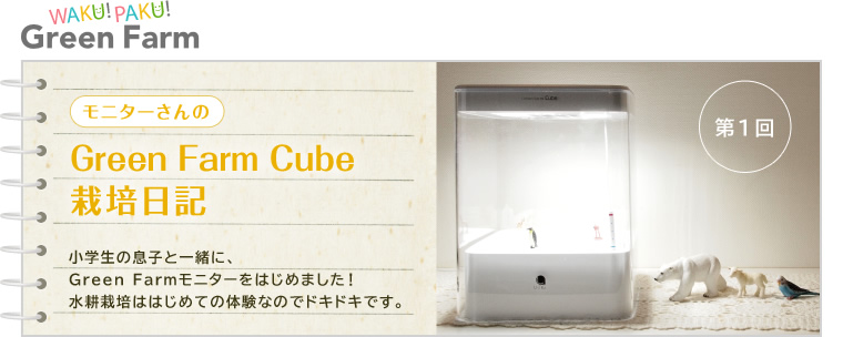 1 ˥Green Farm Cube