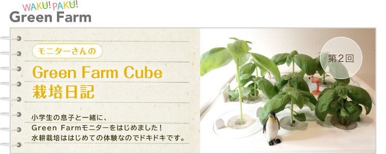 2 ˥Green Farm Cube