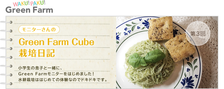 2 ˥Green Farm Cube