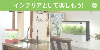 WAKU! PAKU! Green Farm | 水耕栽培器「Green Farm(グリーンファーム)」