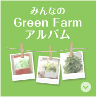 グリーンファーム③ プジョー中央 - NEW 208 GT
